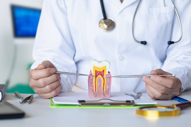 Best Broken Tooth Emergency  in Circle D Kc Estates, TX